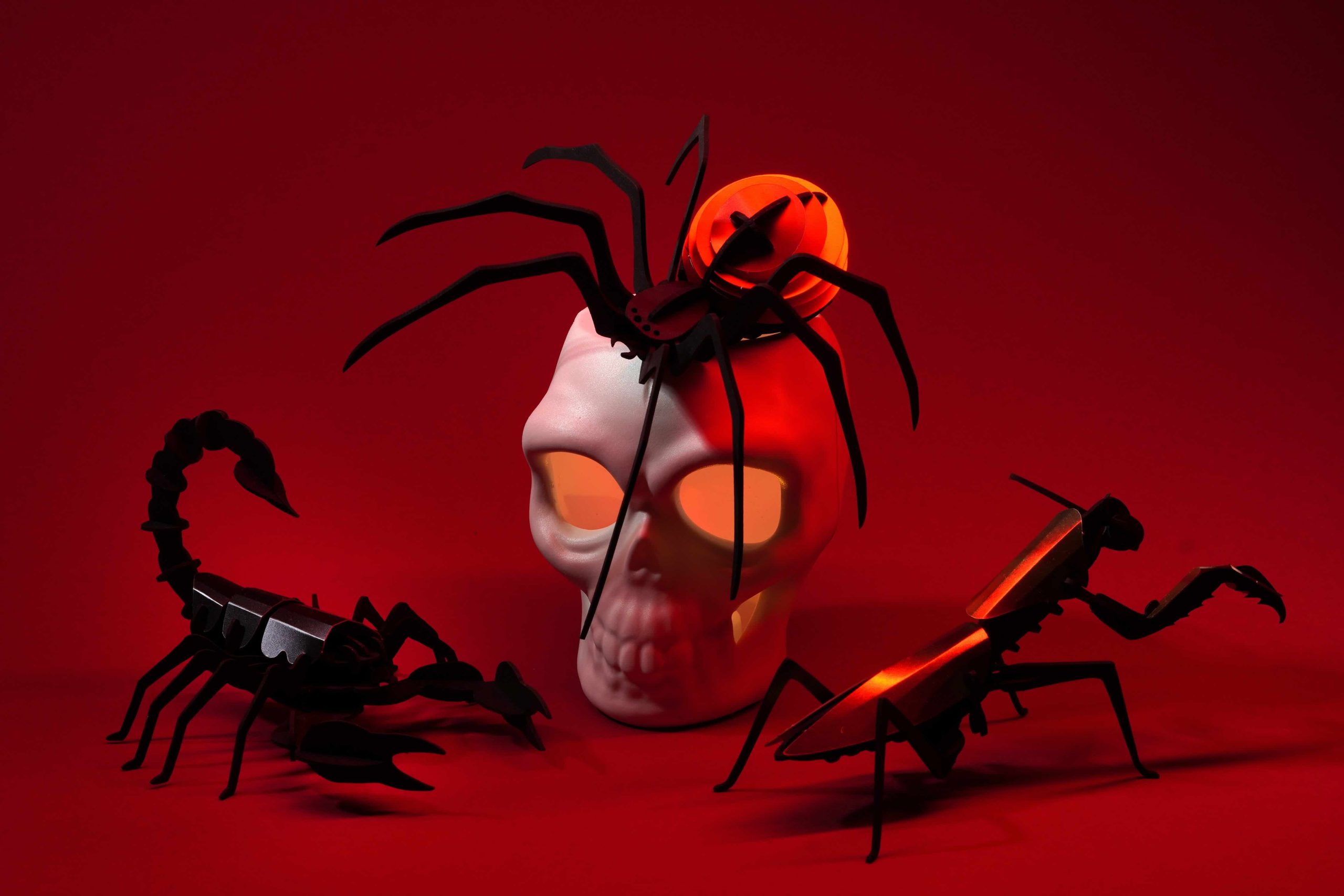 Paper Insect Halloween Set - Image 3
