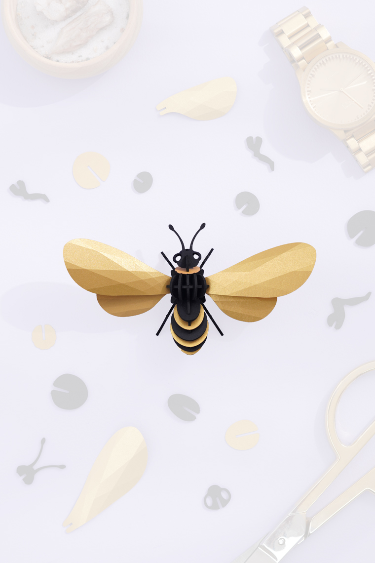 Assembli-Honey-bee-gold-topdown-20%