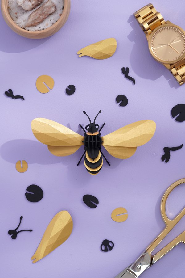 Assembli-Honey-bee-gold-topdown