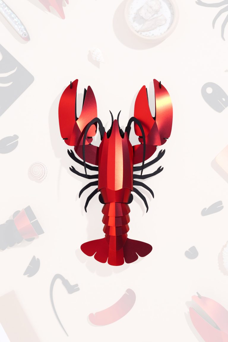 Assembli-Lobster-topdown-cropped-20%