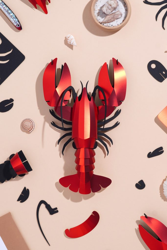 Assembli-Lobster-topdown-cropped