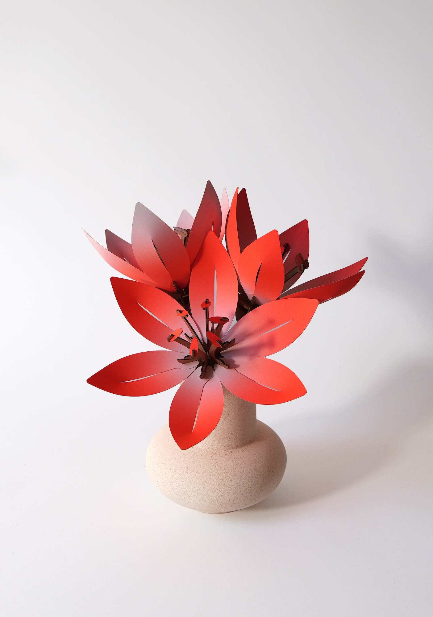 Assembli Paper Flower orange wikkel