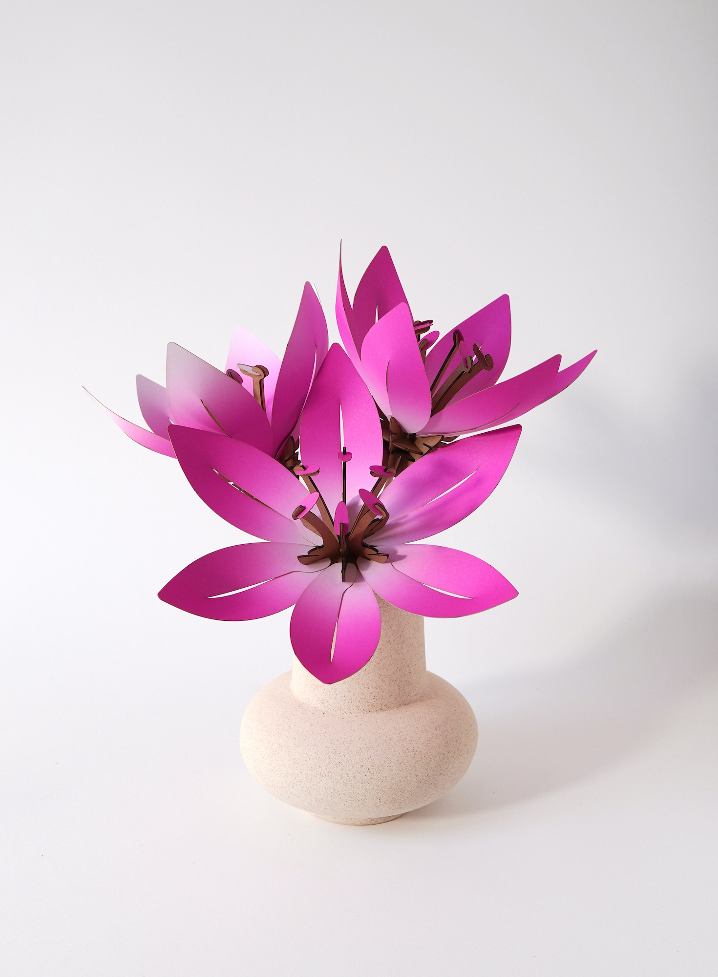 Assembli Paper Flower pink wikkel