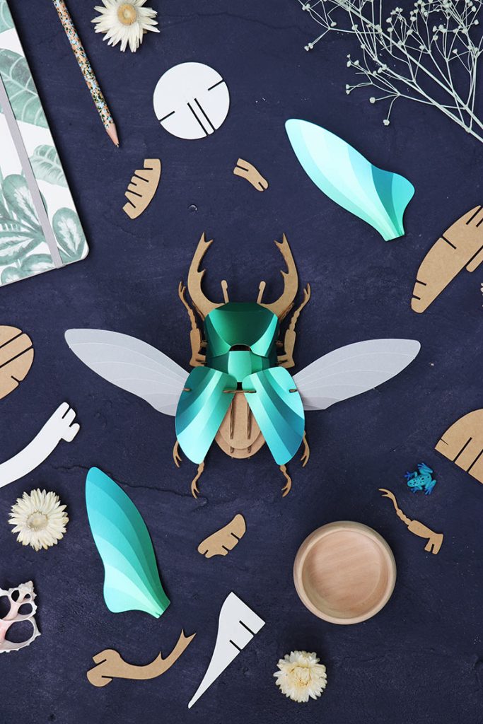 Assembli-Stag-Beetle-Large-Top-low