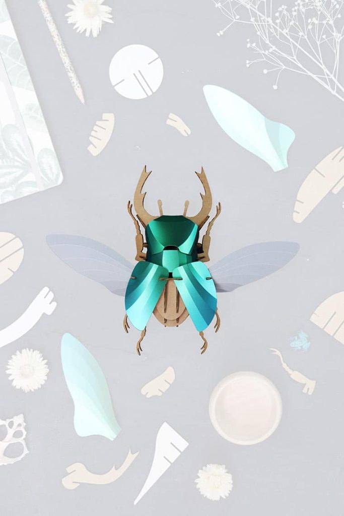 Assembli-Stag-Beetle-Large-Top-trans-low