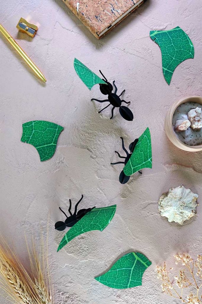 Assembli-leafcutter-ants-low