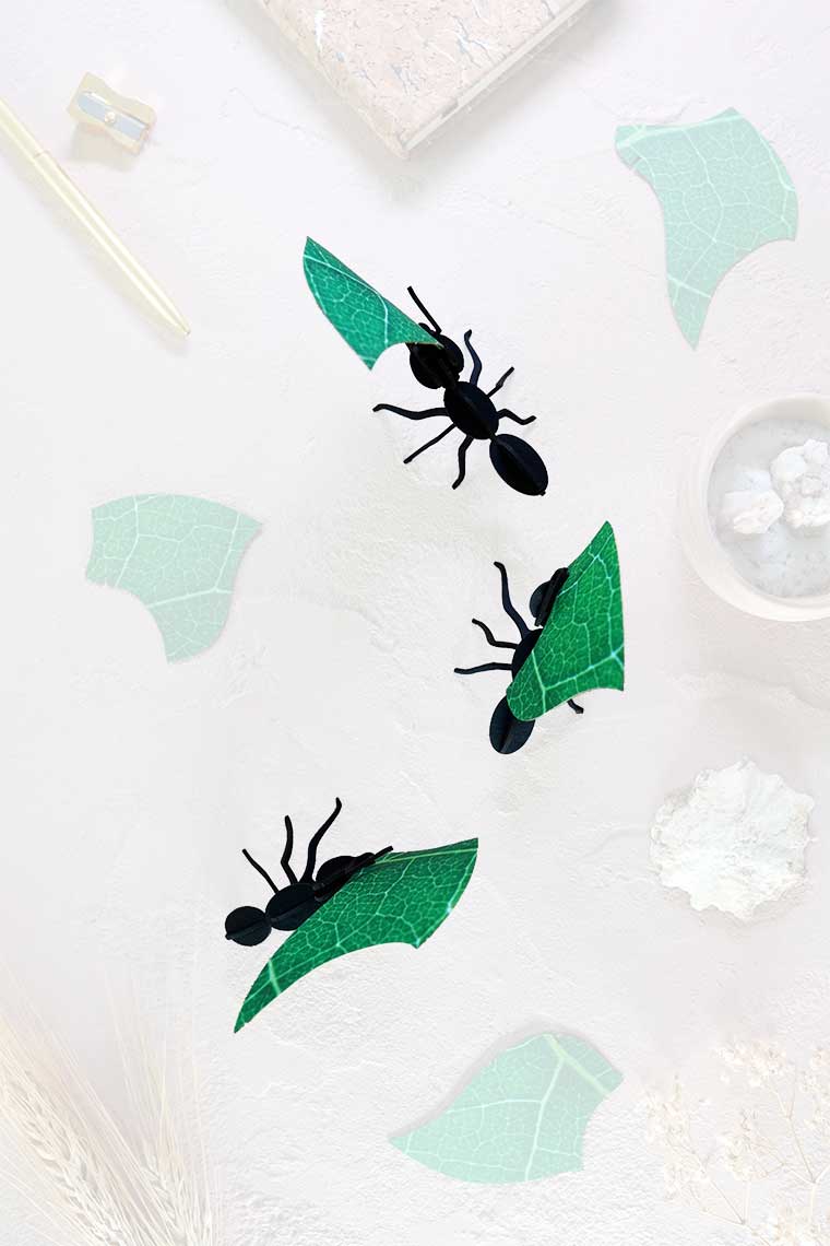 Assembli-leafcutter-ants-trans-low