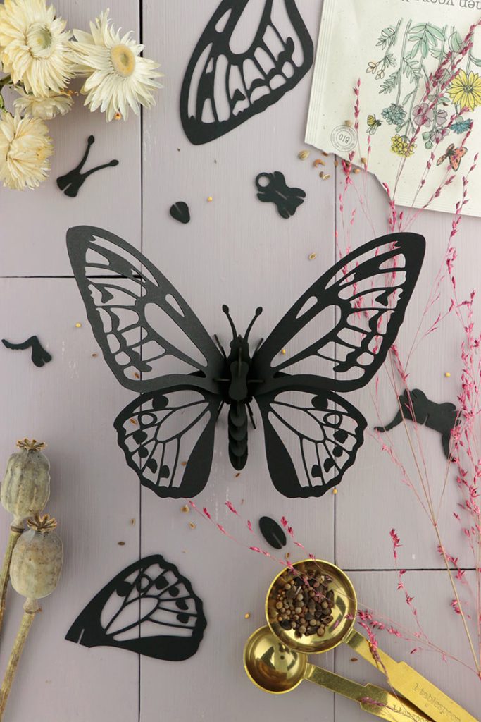 Assembli-birdwing-butterfly-black-low