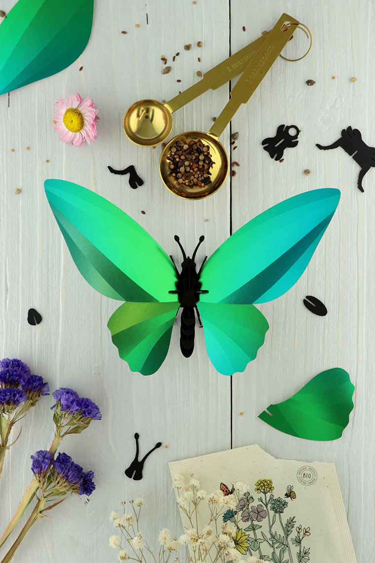 Assembli-birdwing-butterfly-green-low