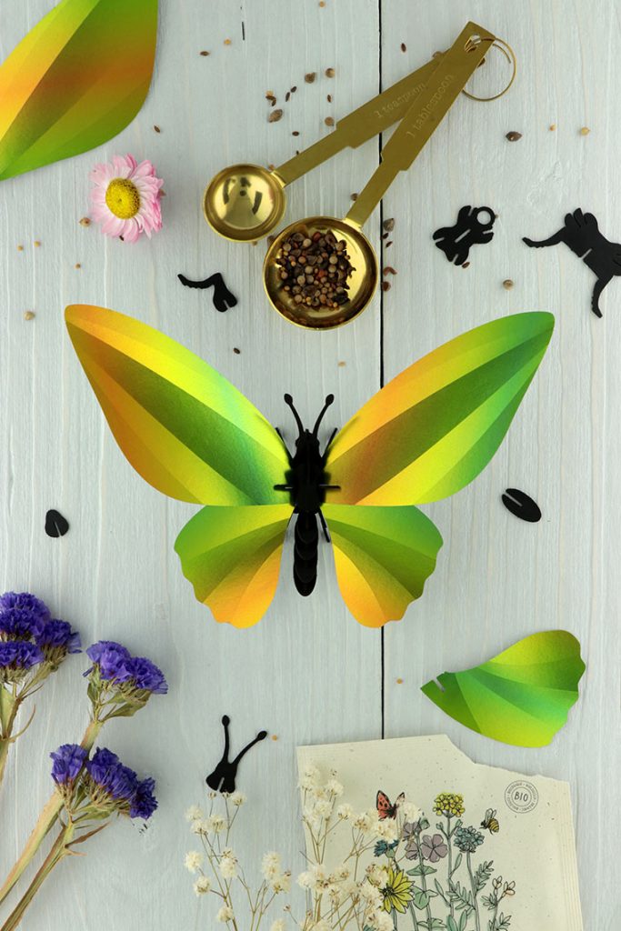 Assembli-birdwing-butterfly-mango-low