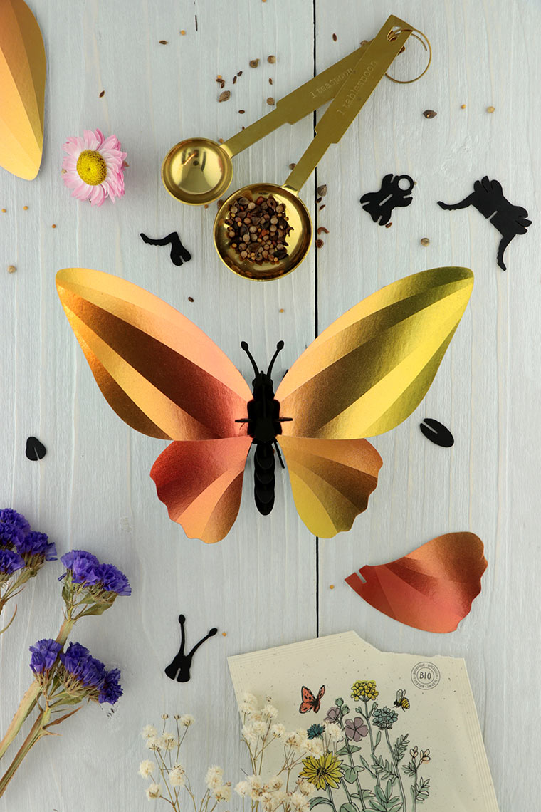 Assembli-birdwing-butterfly-yellow-low