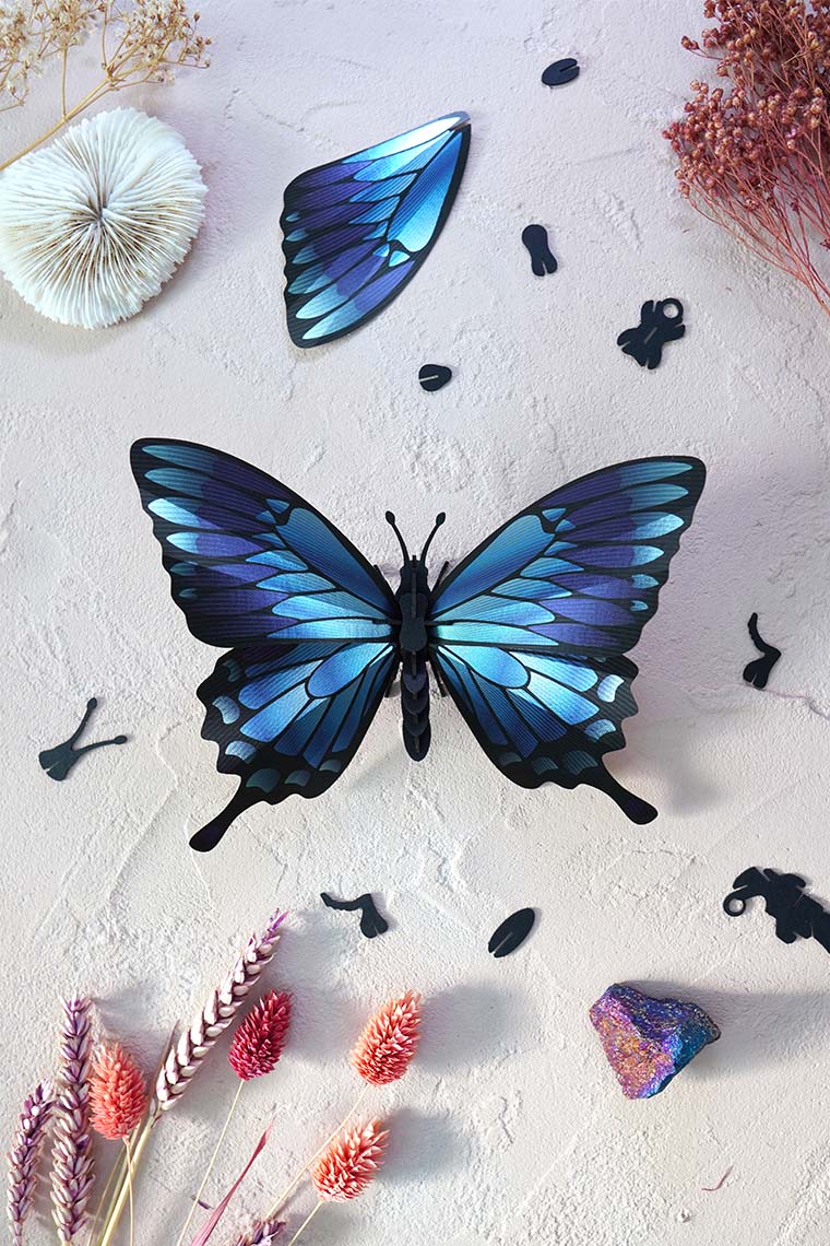 Assembli-blue-mountain-butterfly-low