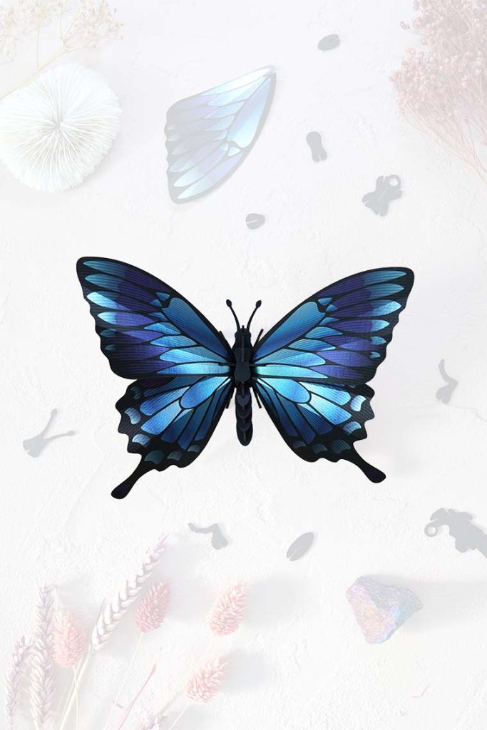 Assembli-blue-mountain-butterfly-trans-lowmeer Assembli-blue-mountain-butterfly-trans-low