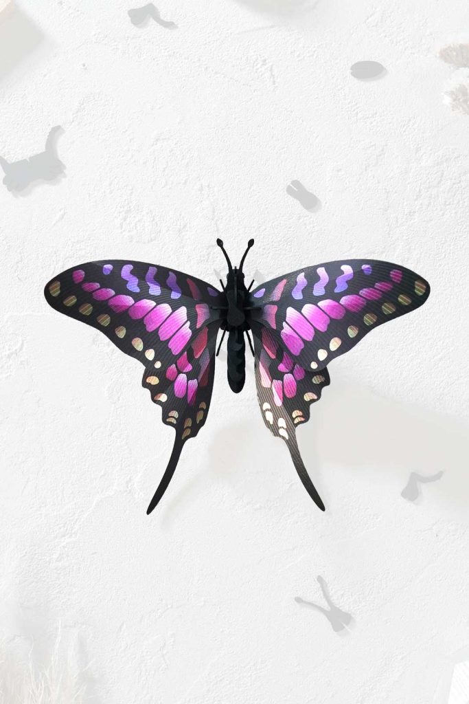 Assembli-common-swordtail-butterfly-20-newmeer Assembli-common-swordtail-butterfly-20-new