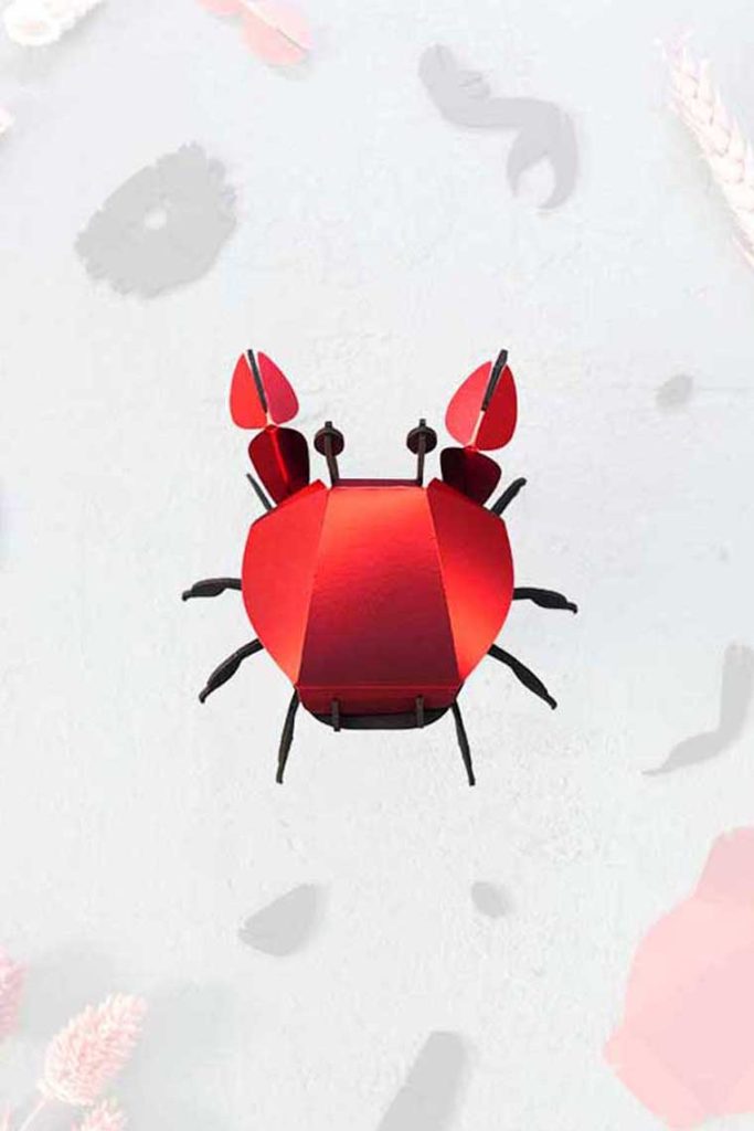 Assembli-crab-trans-low-3