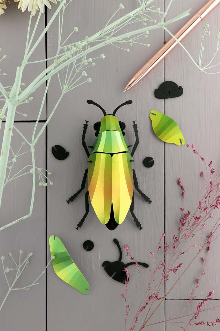 assembli-jewel-beetle-mango-low