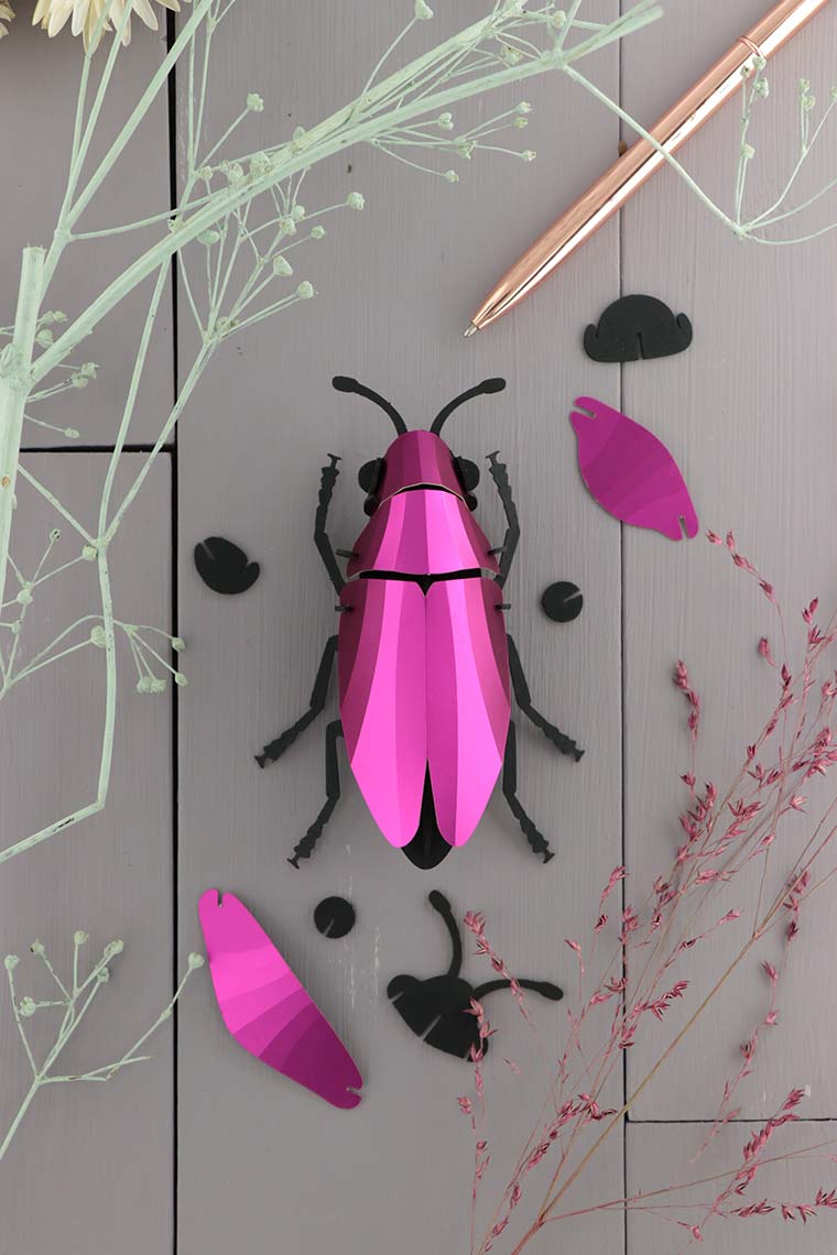 assembli-jewel-beetle-pink-low