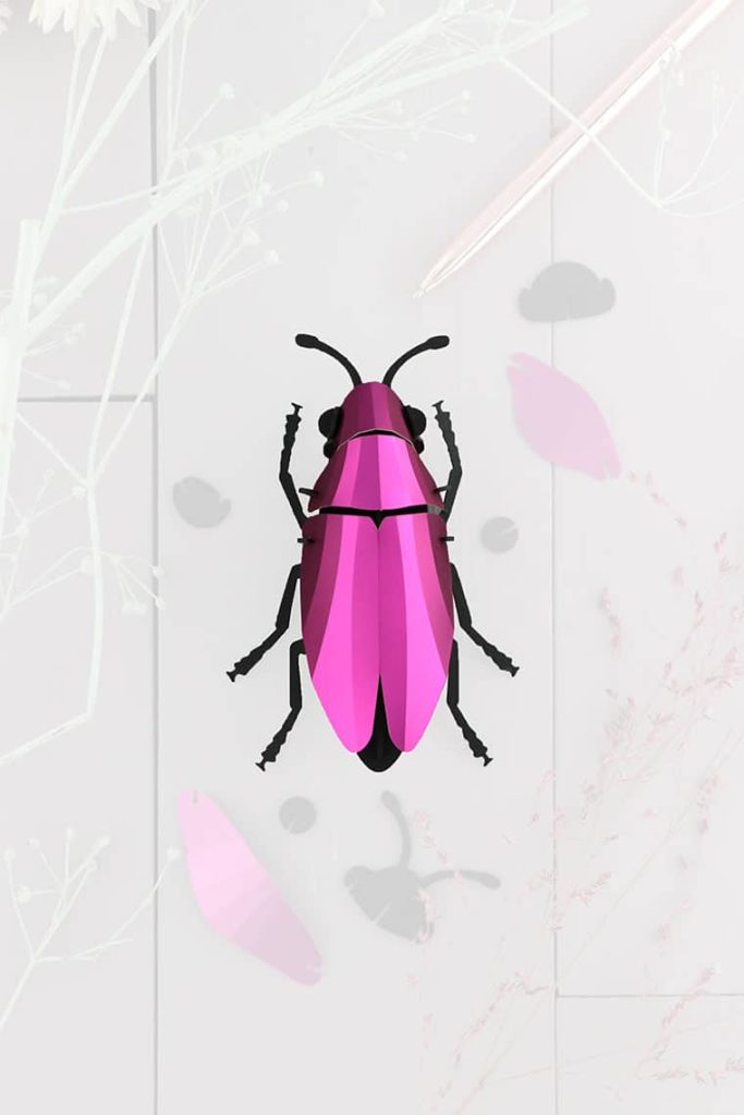 assembli-jewel-beetle-pink-trans-low