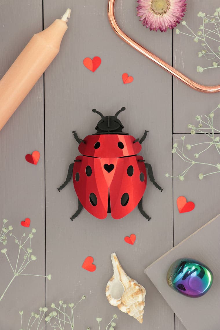 Assembli-ladybug-lovebug-low