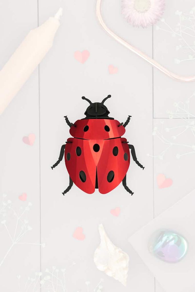 Assembli-ladybug-trans-lowmeer Assembli-ladybug-trans-low