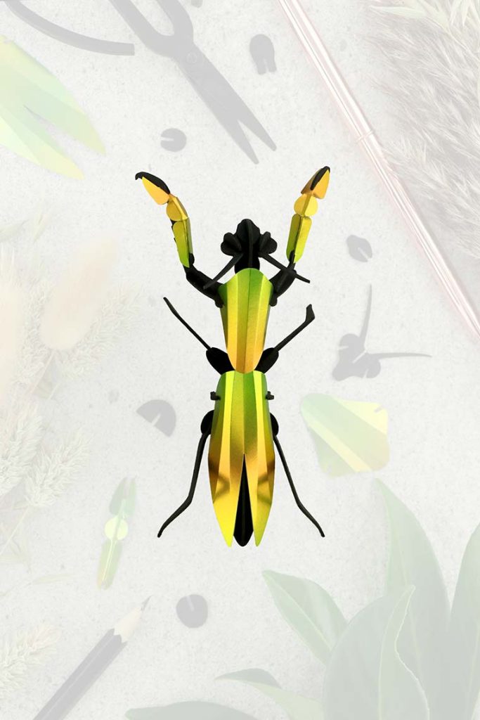 Assembli-praying-mantis-mango-trans-lowmeer Assembli-praying-mantis-mango-trans-low