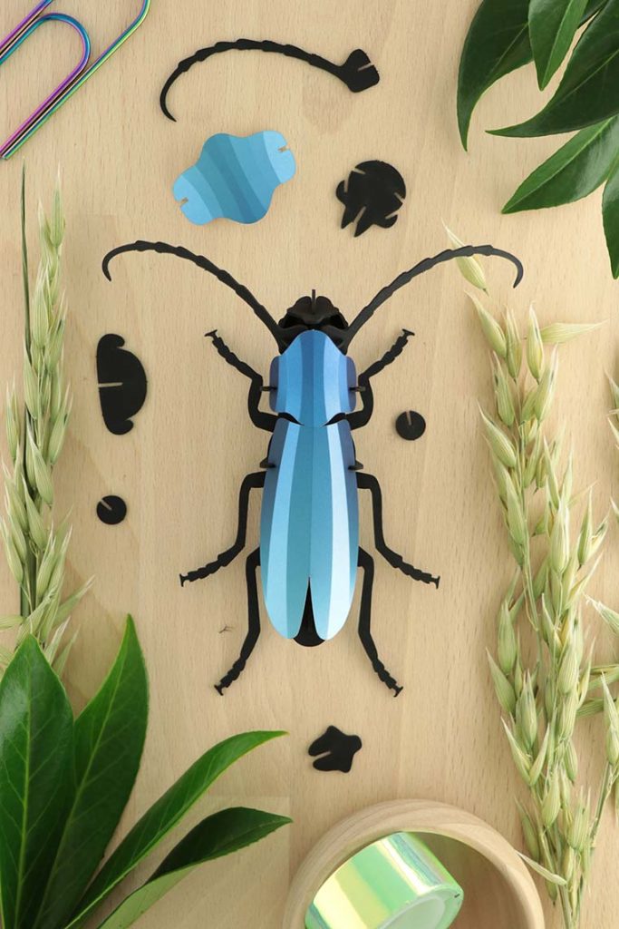 Assembli-rosalia-beetle-blue-low