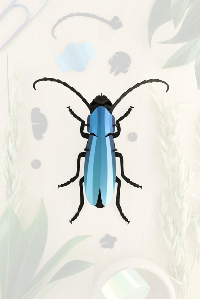 Assembli-rosalia-blue-trans-lowmeer Assembli-rosalia-blue-trans-low