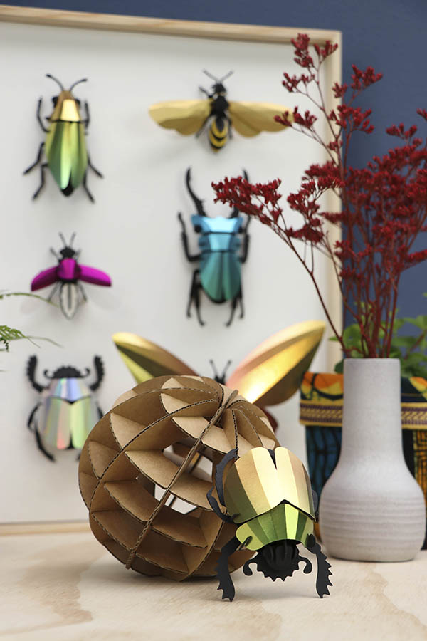 Assembli-scarab-beetle-mixed-insects