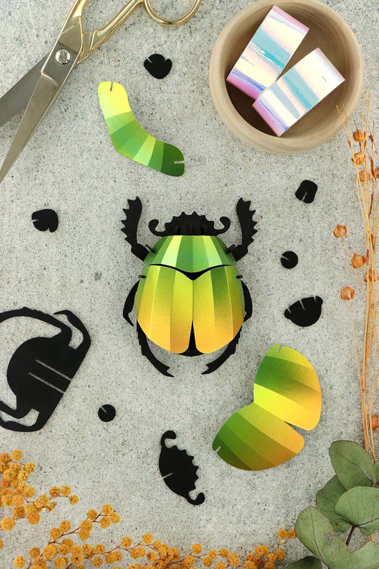 Assembli-scarab-beetle-mango-low