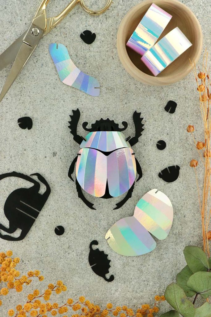 Assembli-scarab-beetle-mirror-low