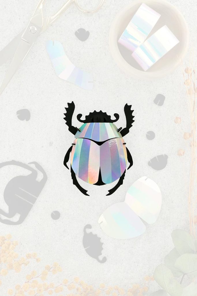Assembli-scarab-beetle-mirror-trans-lowmeer Assembli-scarab-beetle-mirror-trans-low