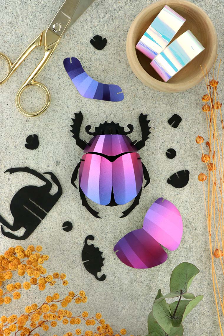 Assembli-scarab-beetle-purple-low