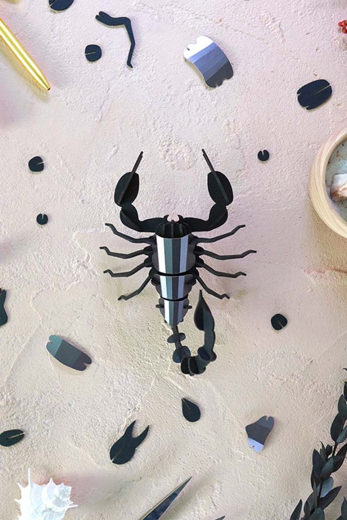 Assembli-scorpion-low