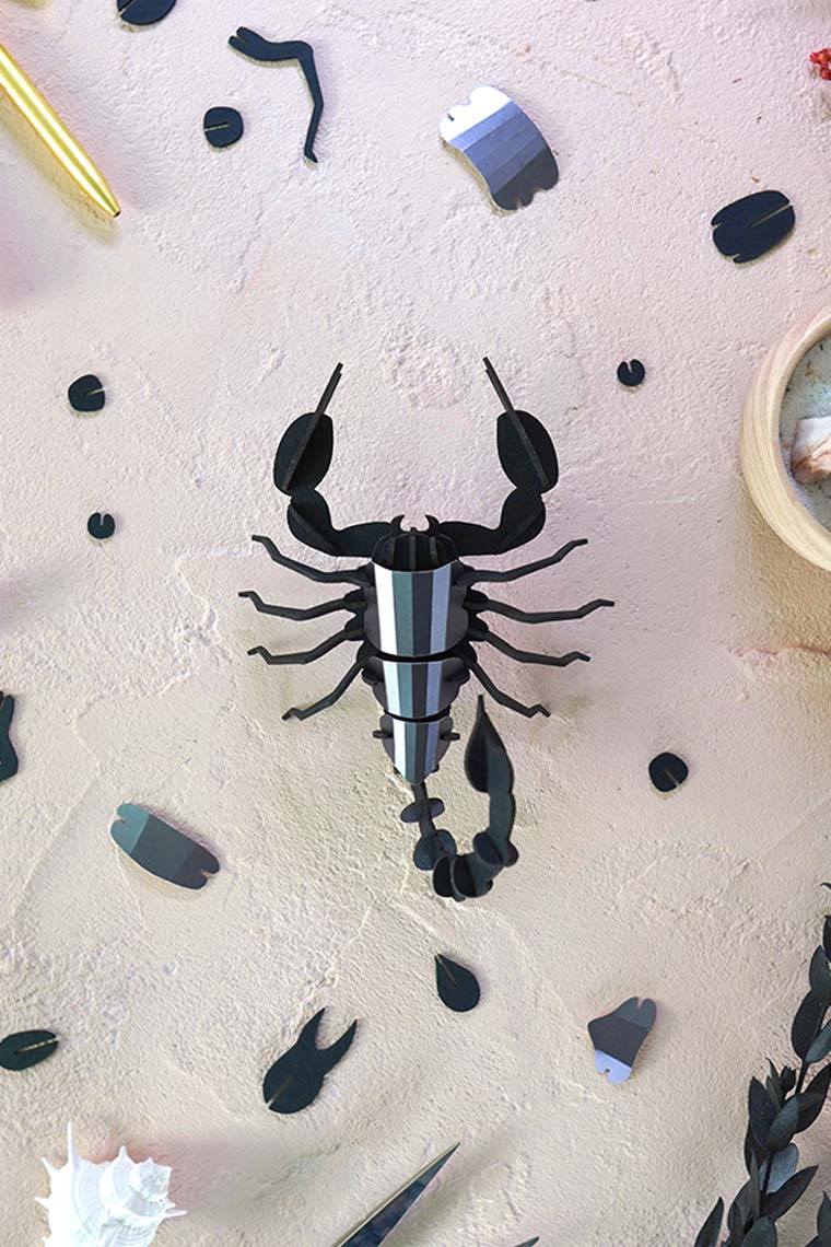 Assembli-scorpion-low