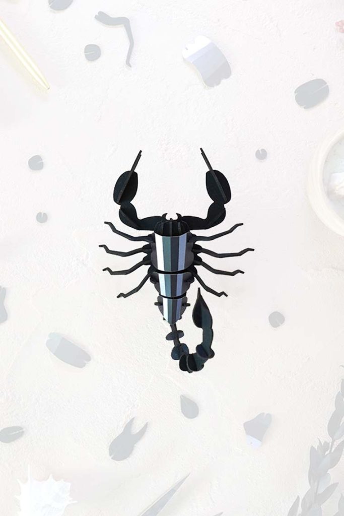 Assembli-scorpion-trans-low