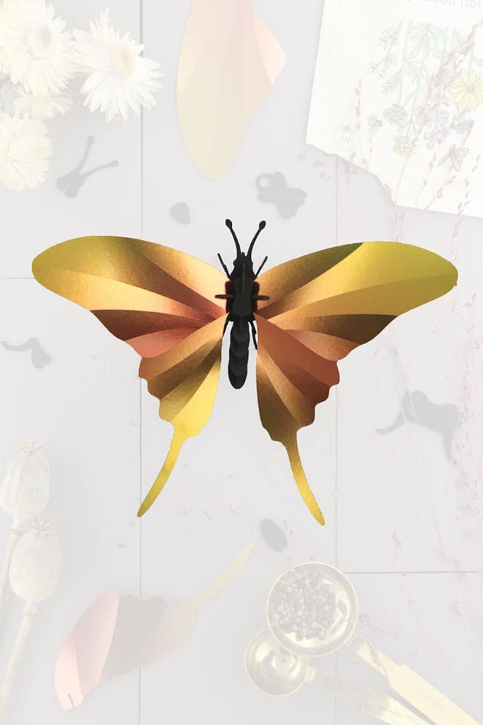Assembli-swordtail-butterfly-yellow-trans-lowmeer Assembli-swordtail-butterfly-yellow-trans-low