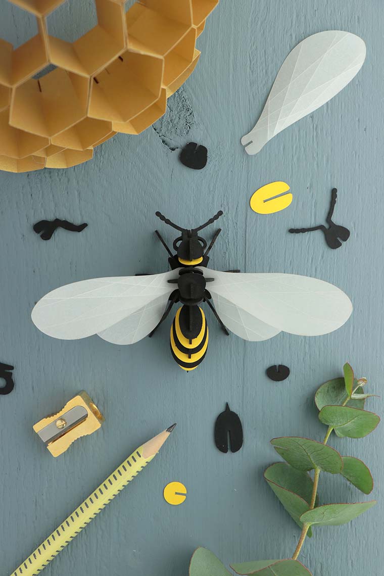 Assembli-wasp-transparent-low