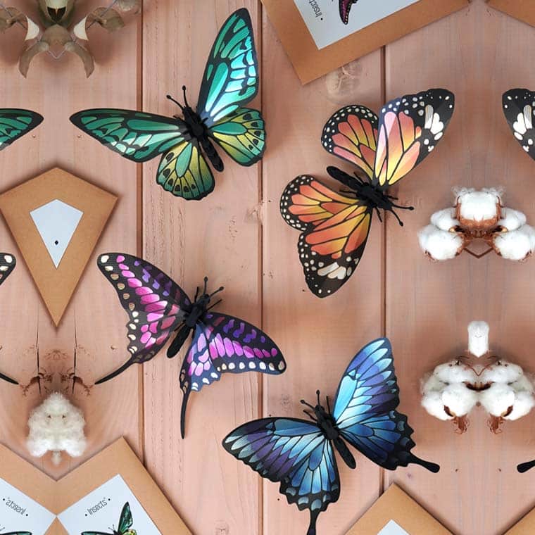 Assembli_Butterfly_set_squaremeer Assembli_Butterfly_set_square