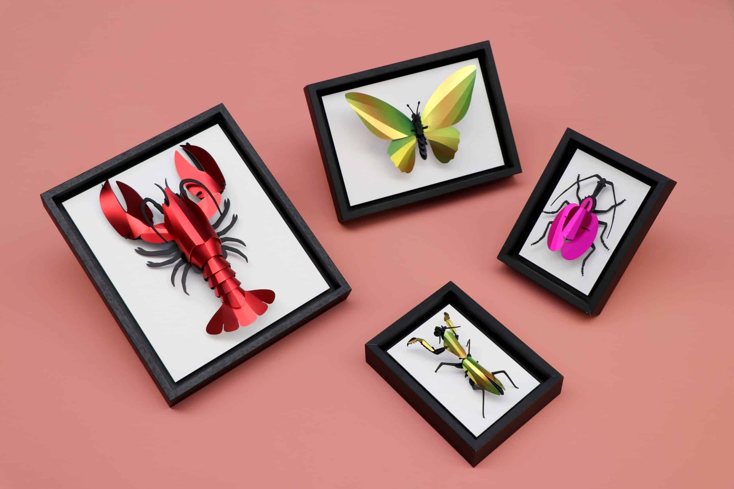 Assembli Black Wooden Frames insects