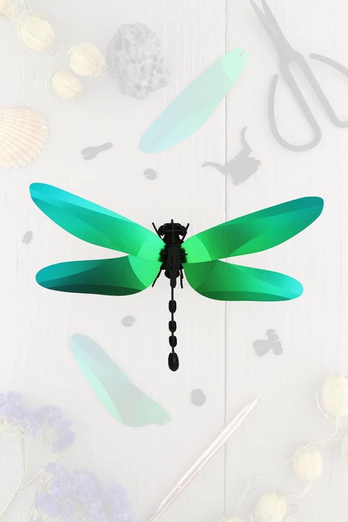 assembli-dragonfly-green-trans-lowmeer assembli-dragonfly-green-trans-low