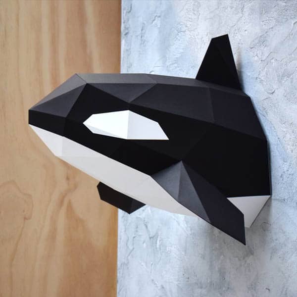 Assembli orca side profile