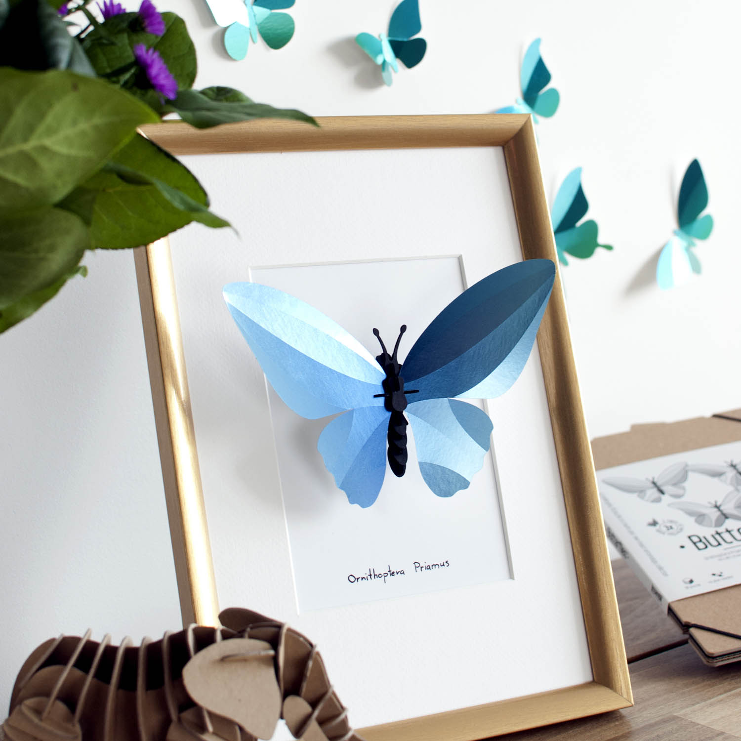 Assembli Birdwing Butterfly in frame blue