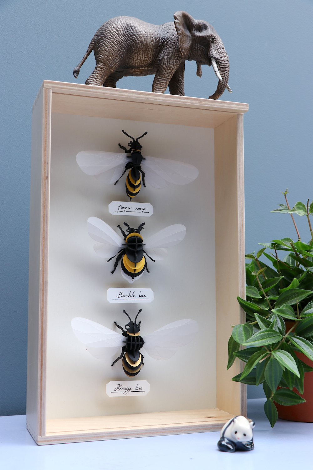 Assembli bumble honey bee wasp display
