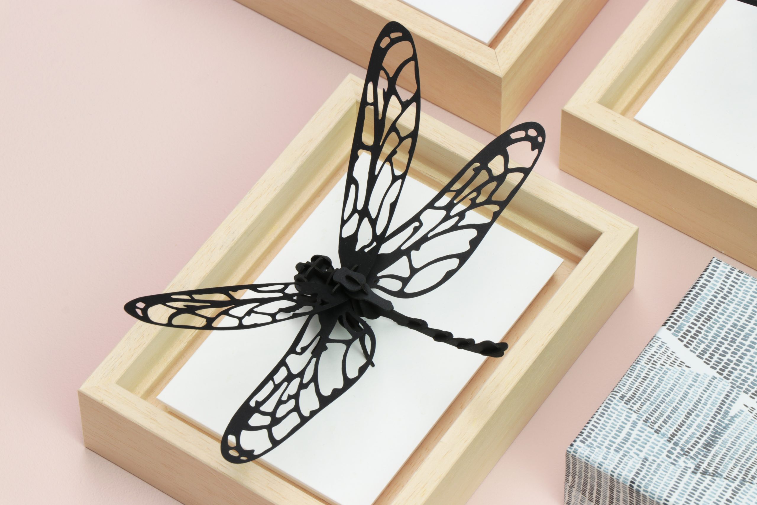 Assembli dragonfly black in wooden frame