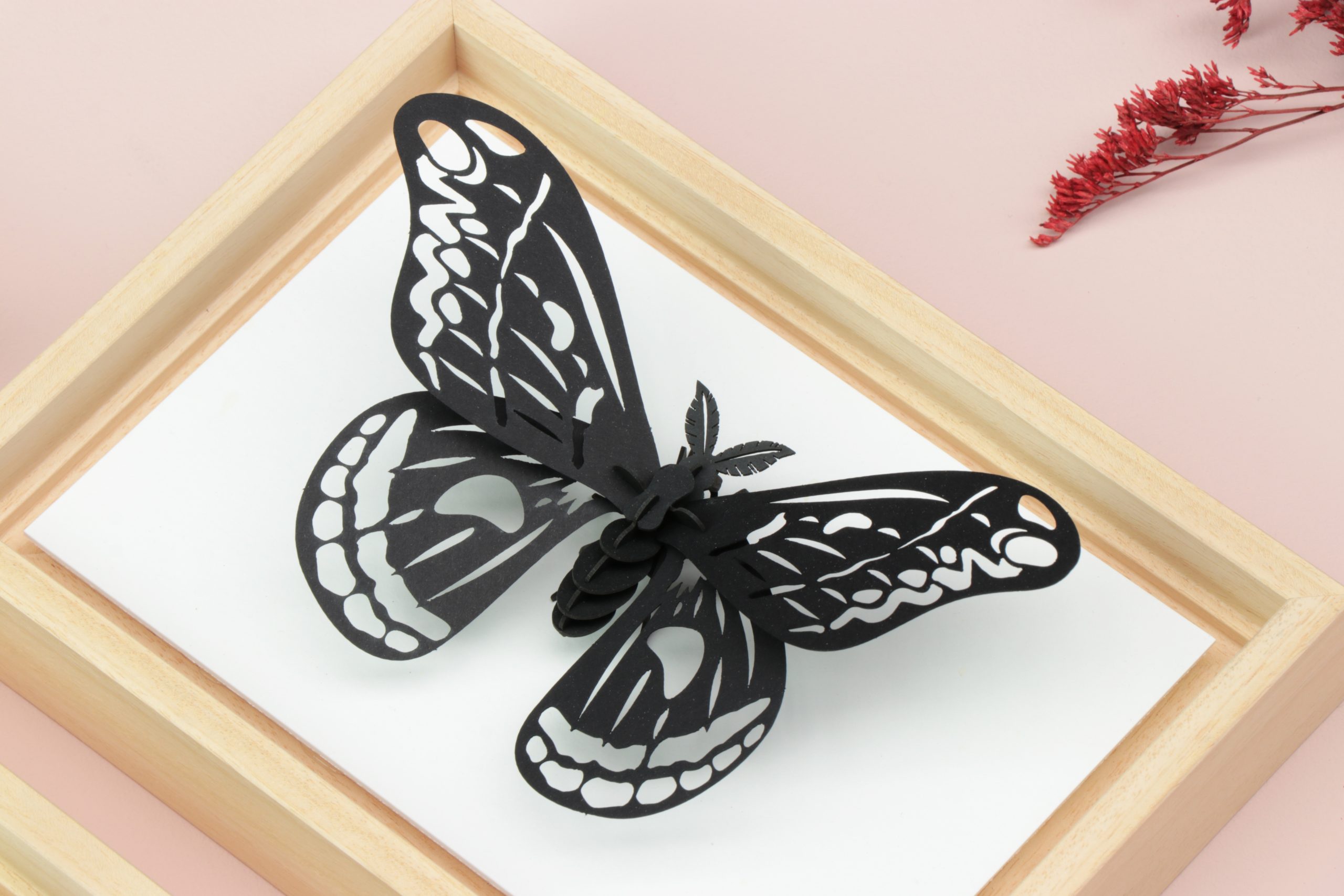 Assembli giant silk butterfly black in wooden frame