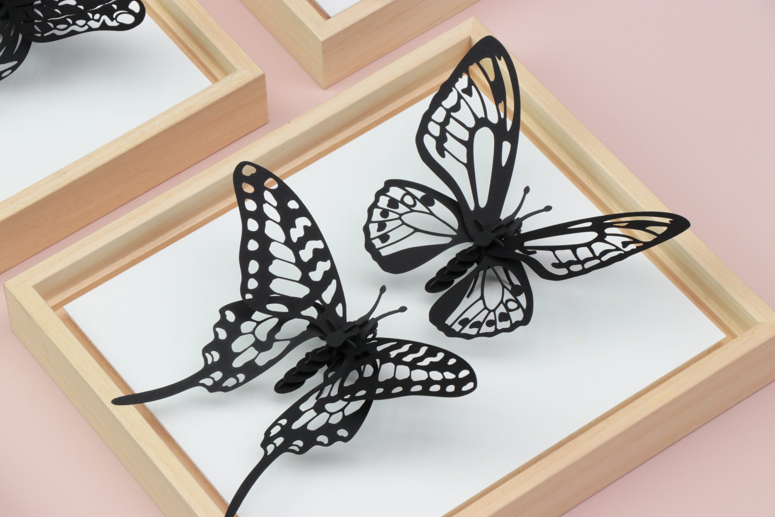 Assembli swordt & birdw butterfly in wooden frame 2