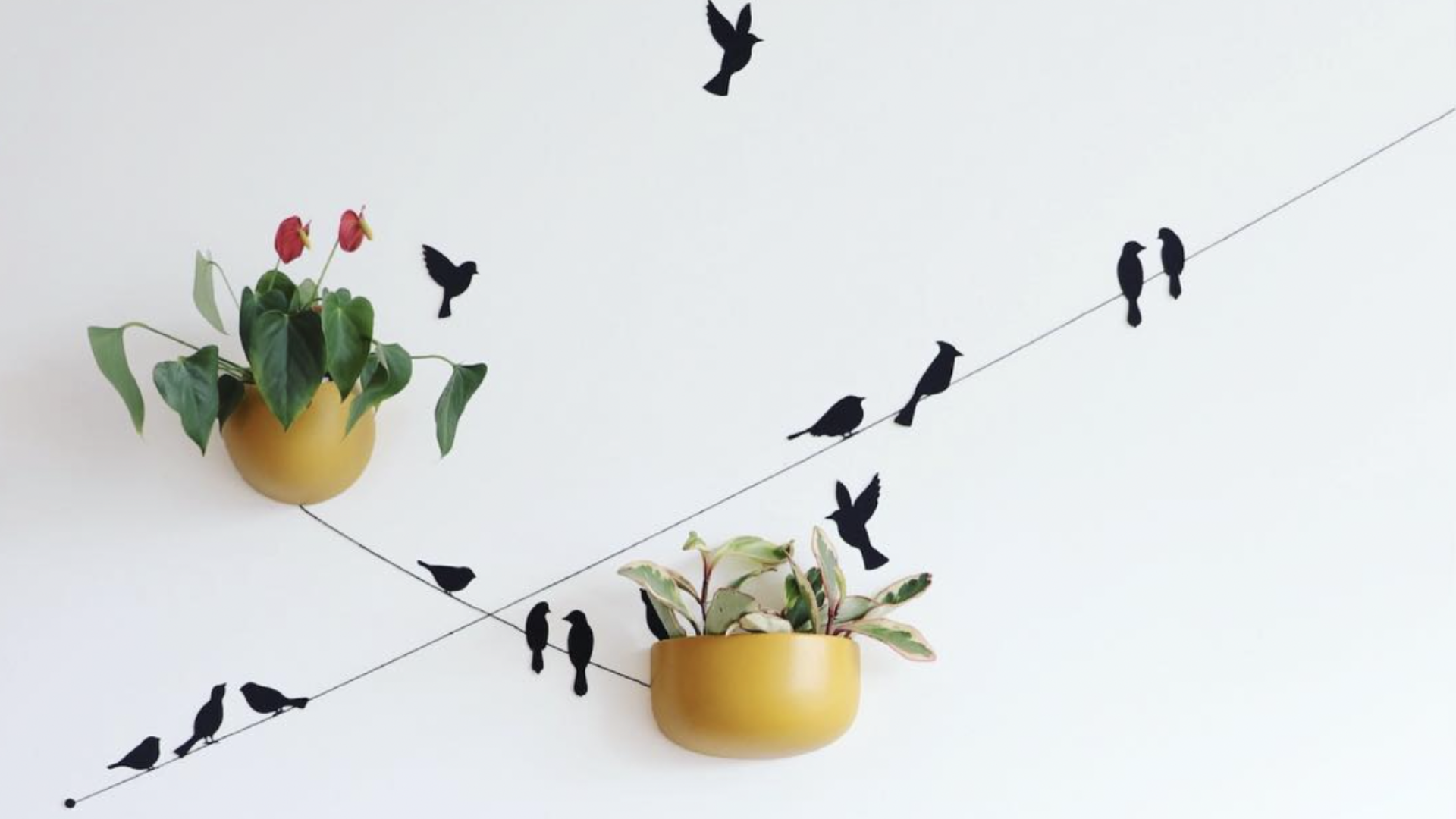Assembli Urban Birds gallery