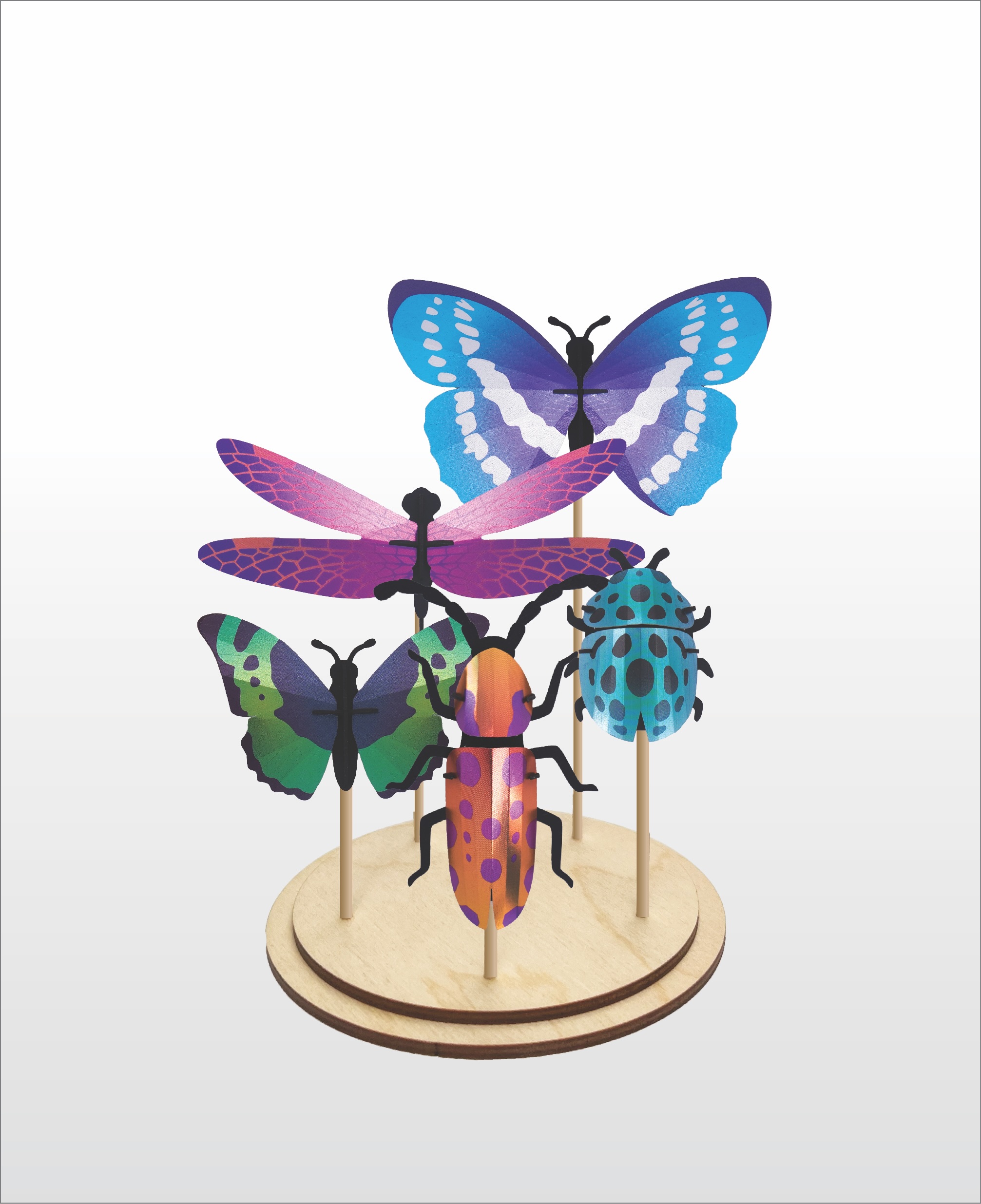 Assembli Set display mixed insects set