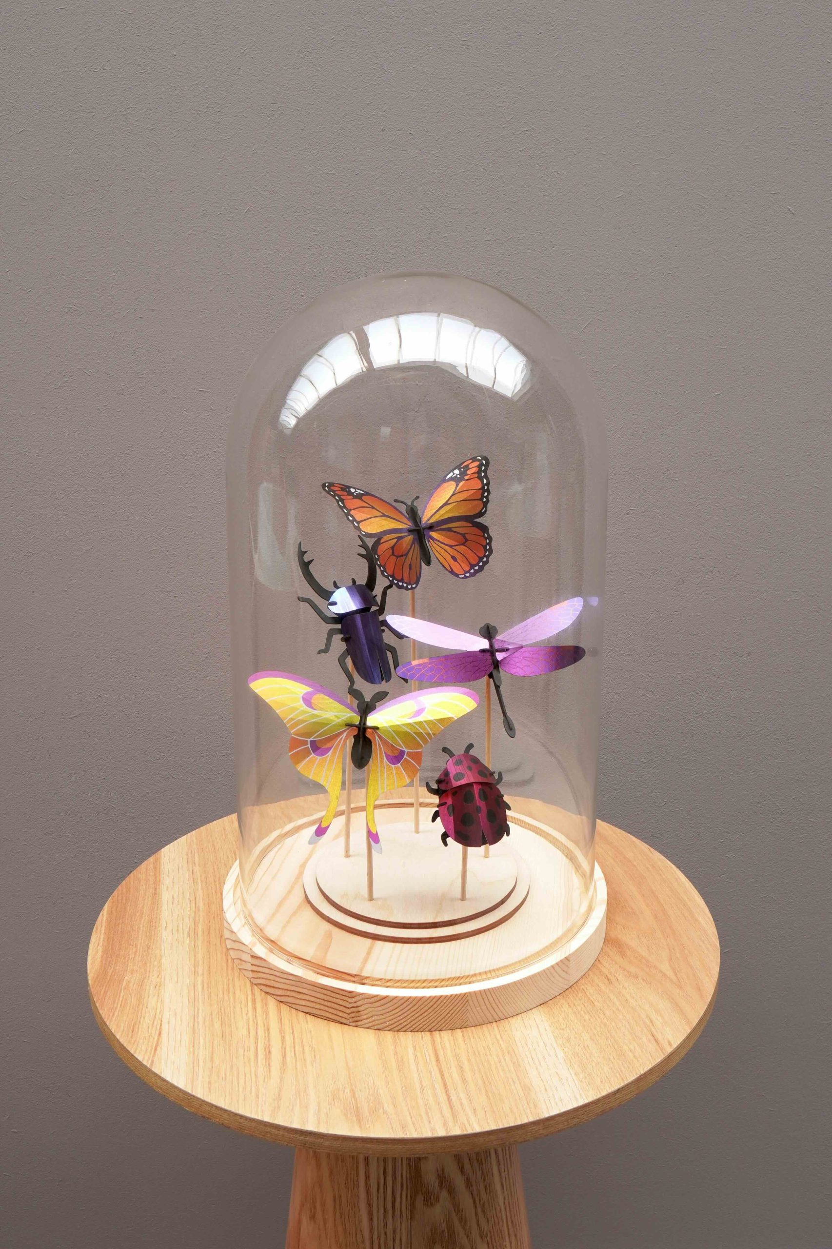 Assembli Mixed Insect Set purple dome