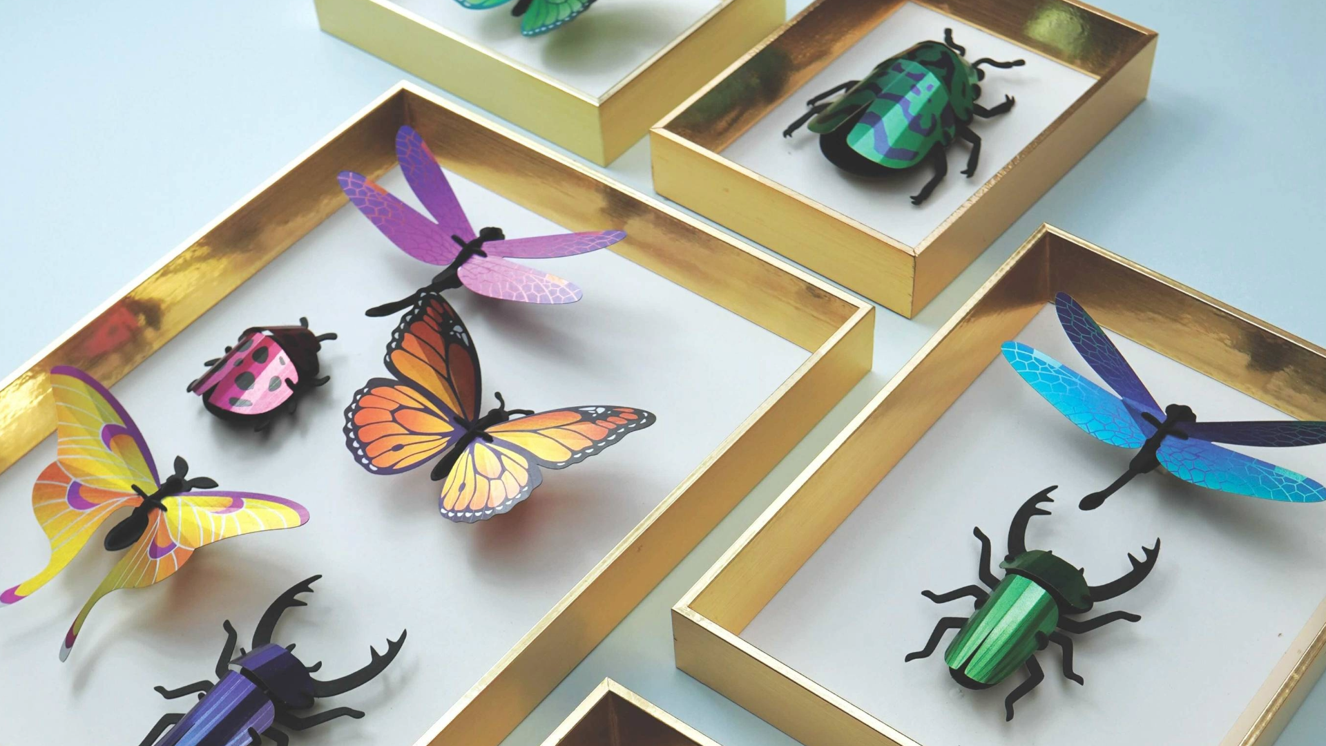 Assembli Mixed Insects Set Gallery
